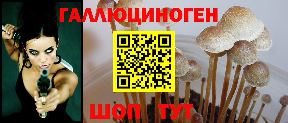 Псилоцибиновые грибы мицелий  Псилоцибиновые грибы мухоморы  Ишимбай  Вход с VPN 
